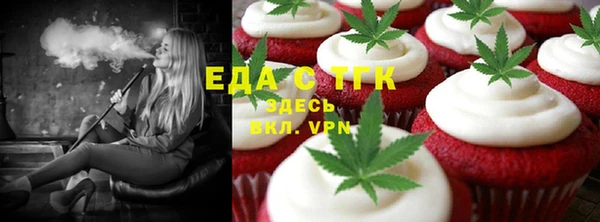 индика Абаза