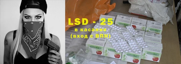 индика Абаза