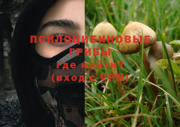 индика Абаза