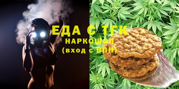 индика Абаза