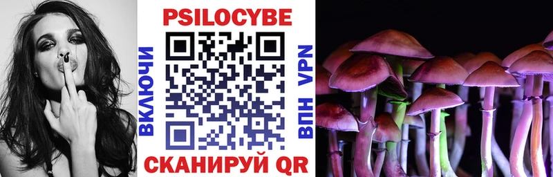 Галлюциногенные грибы Psilocybe Кисловодск